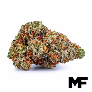 Blue Beach Hz Flower